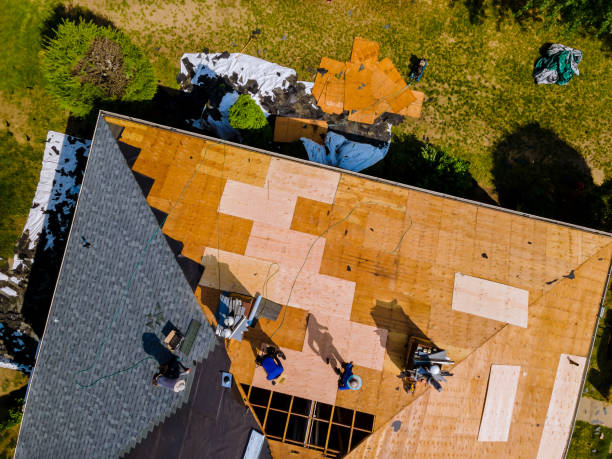 Best Commercial Roofing Services  in Marshalltown, IA