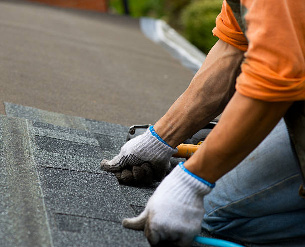 Best Gutter Installation and Roofing  in Marshalltown, IA