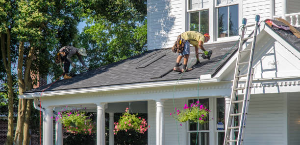 Best Roof Gutter Cleaning  in Marshalltown, IA